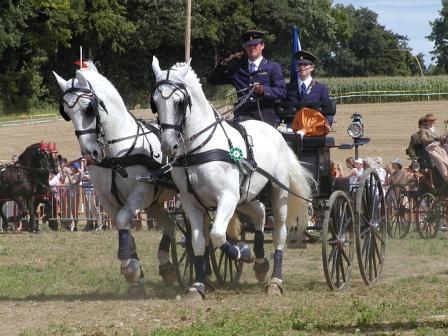 Międzynarodowe Zawody w powożeniu zaprzegami - Kladruby 2010