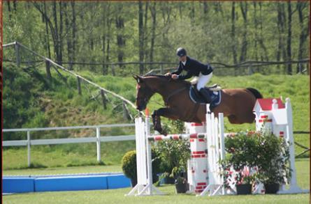 Przygotowania do Super Ligi - Aleksandra Lusina - I otwarte zawody CSI *** Lummen w Belgii 