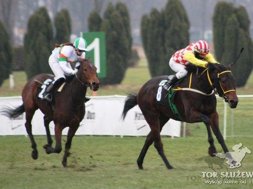 Tor Służewiec - sezon wyścigów konnych 2010