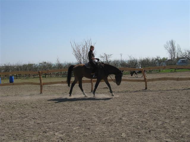 Opadł już kurz na ujeżdżalni po szkoleniu z Eweliną Zoń w Rancho Rumak!
