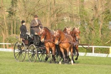 CAI Néewiller pr&egrave;s Lauterbourg FRA 2010 za nami