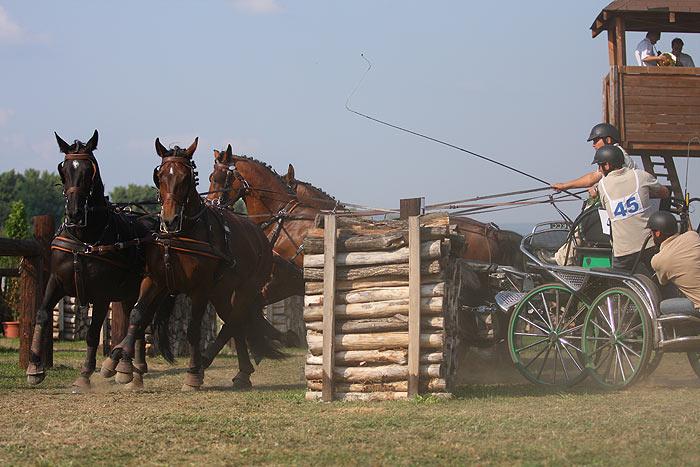 Mazurek Horse Team na zawodach we Francji