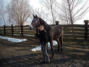 Wałach, kolejne nowe koniki w Rancho Rumak