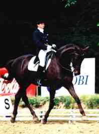 Ujeżdżenie fr. dressage - tresura