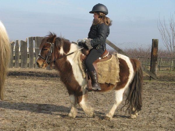 Jeździecki konkurs literacki - Rancho Rumak