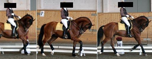 Okrągły stół FEI ws. rollkuru - 9 luty 2010