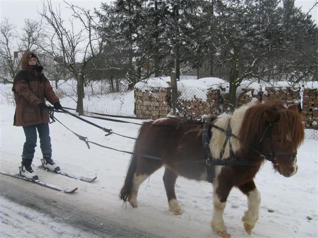 Śniegowisko w Rancho Rumak