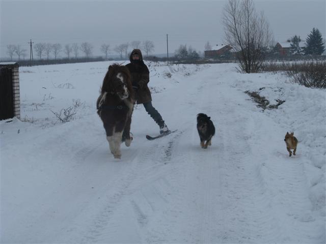 Skiring w Rancho Rumak