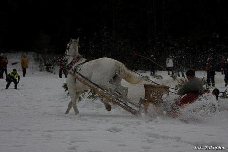 Konie na Gubałówce wjechały w samochód