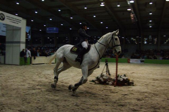 FEI World Equestrian Games Kentucky 2010 - CSN Poznań II dzień