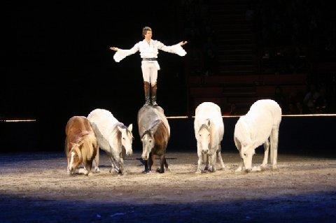 Stockholm International Horse Show