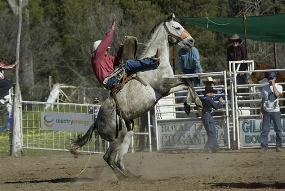 Polska Liga Western i Rodeo – wyniki mistrzostw