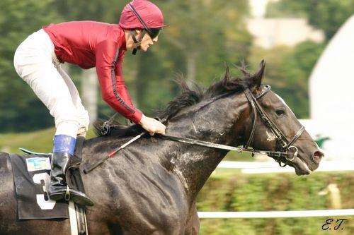 Kalendarz zawodów na 2010 rok