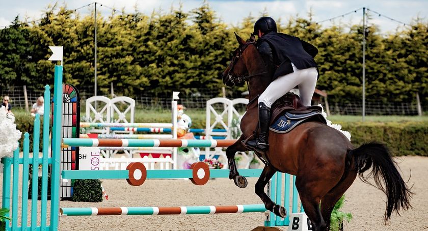 Ogólnopolskie Zawody Dzieci i Młodzieży - KWALIFIKACJE DO CAVALIADA FUTURE