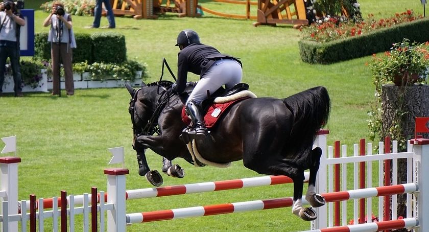 Ogólnopolskie Zawody Ujeżdżeniowe CAVALIADA DRESSAGE CUP