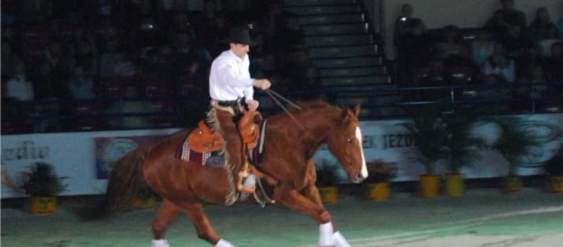 Zawody jeździeckie CSI-W Torwar 2010 – sobota
