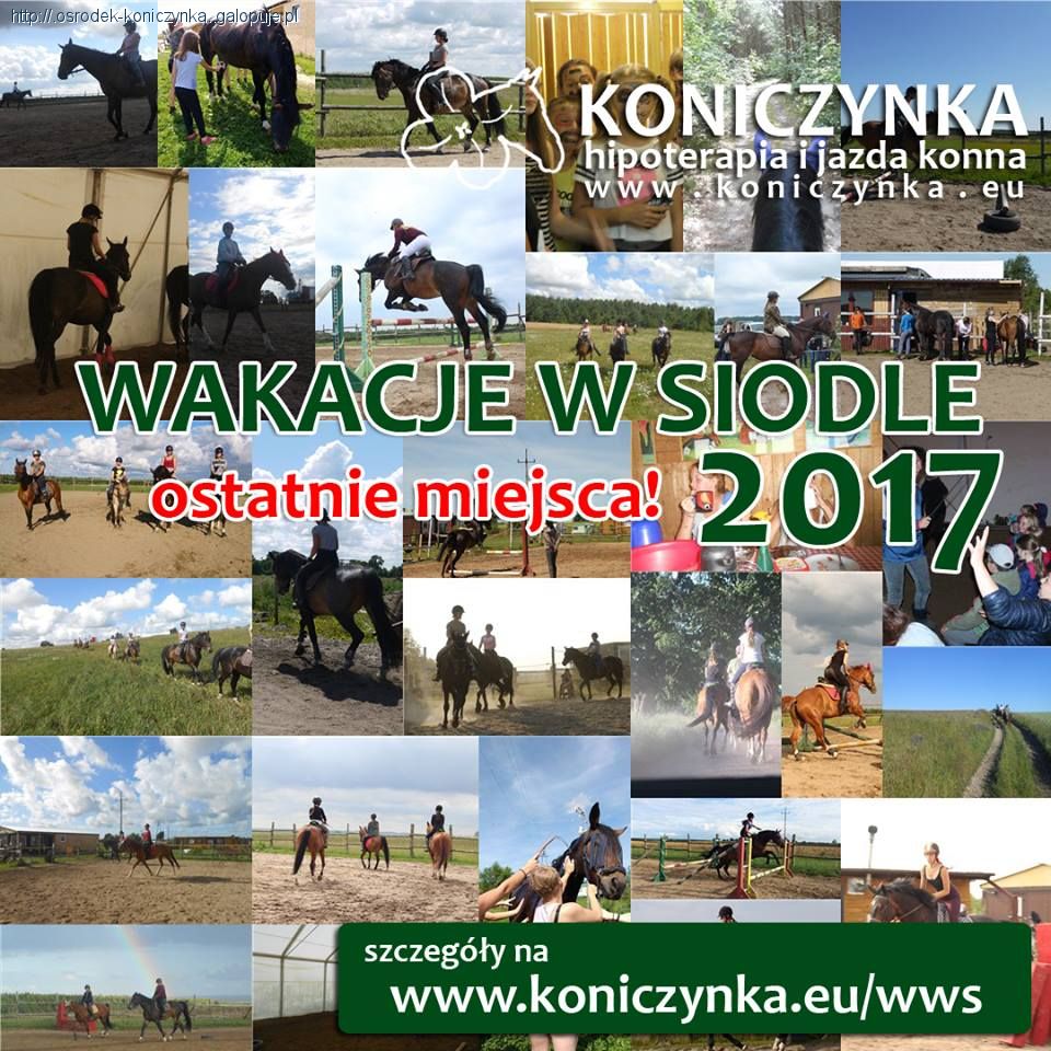 Wakacje w siodle 2017
