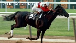 Ruffian