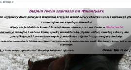 Walentynki w Stajni Iwcia