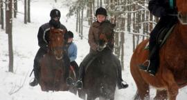 Ferie w siodle 2016 - wszystkie województwa, trwają zapisy!