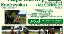 III rajd konny Koniczynka - Stadnina Koni Maciukiewicz