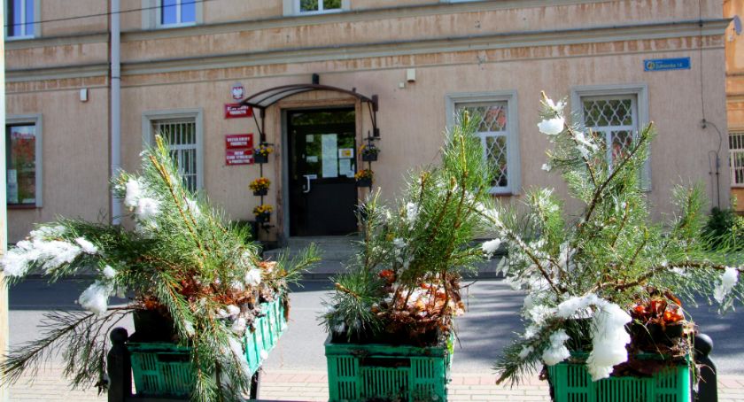 Ta roślina ubarwi podgórzyńskie skwery i cmentarze
