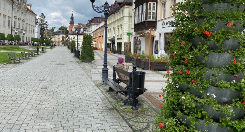 W Jeleniej Górze stanęły wieże kwiatowe