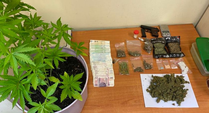 Policjanci zatrzymali poszukiwanego, który miał w domu znaczne ilości narkotyków oraz krzewy konopi.
