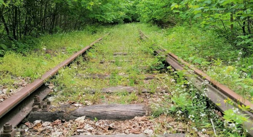 Kiedy pociągiem z Gryfowa Śląskiego do Świeradowa- Zdroju?
