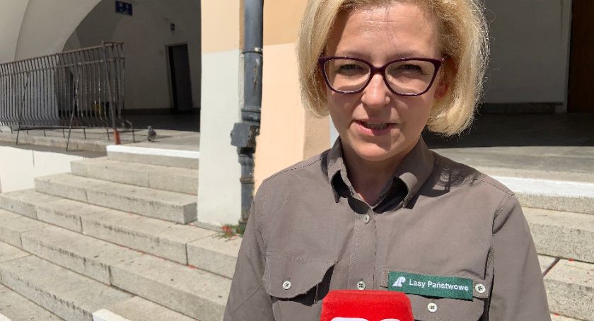 Radykalne zwiększenie kar za wyrzucanie śmieci do lasu