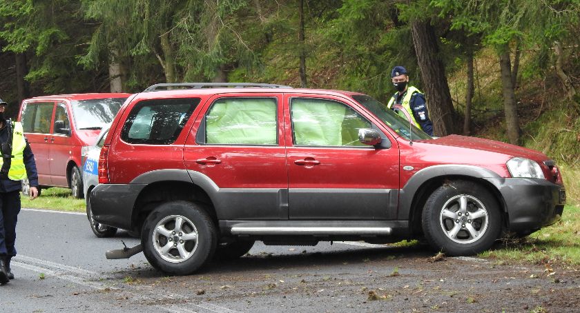 Na Drodze Sudeckiej w okolicy Zakrętu Śmierci auto uderzyło w drzewo