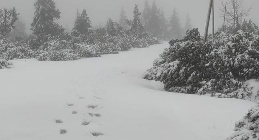 W Karkonoszach spadło 50 cm śniegu. KPN prosi o ostrożność!