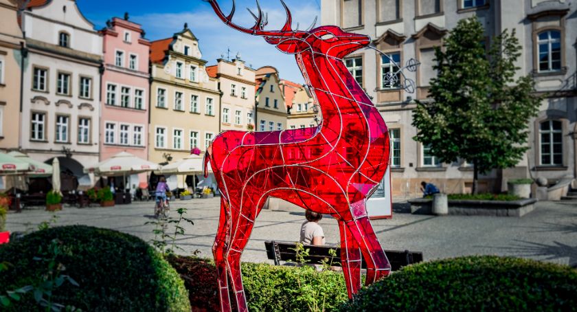 JBO 2021 – rozpoczęło się głosowanie!