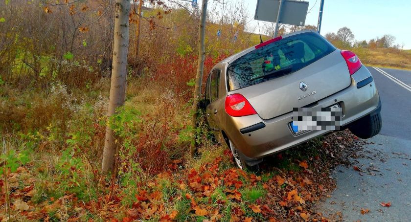 Renault wjechał do rowu w Rybnicy. Kierująca na chwilę zasłabła.