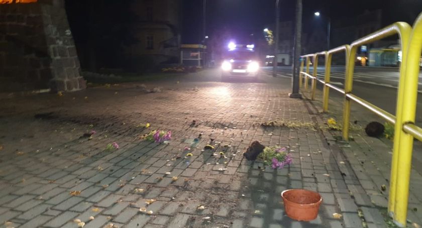 Wandale zniszczyli klomb z chryzantemami