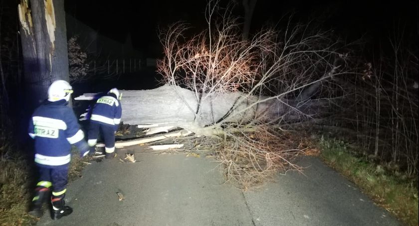 Jelenia Góra : Wiatr wyrządził szkody. Strażacy wyjeżdżali 29 razy.