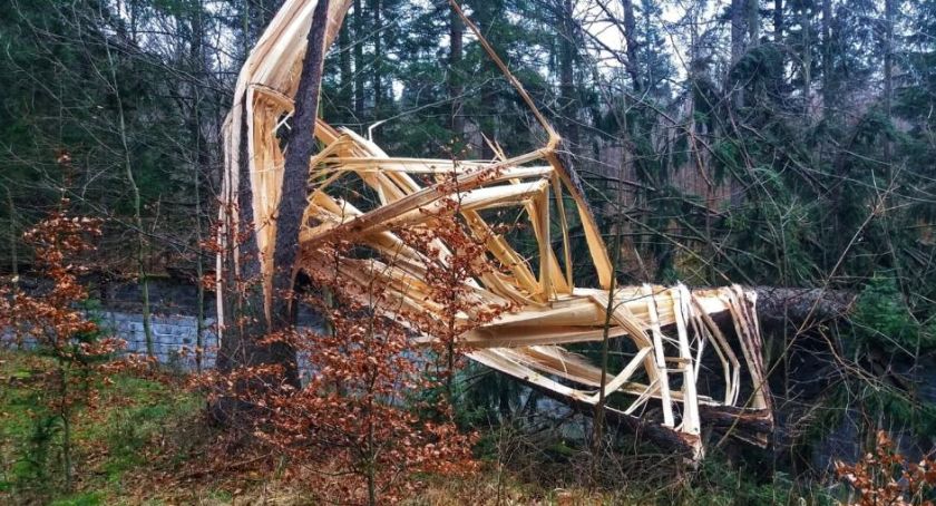 Częściowe odwołanie okresowego zakazu wstępu do lasu