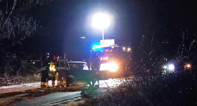 Na Lubańskiej drzewo spadło na jezdnię tuż przed jadącym autem
