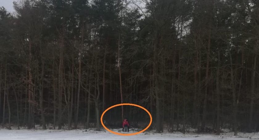 Policjanci odnaleźli zaginionego seniora idąc w lesie po jego śladach