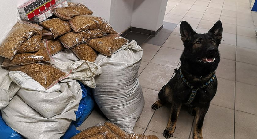 Nielegalny tytoń ukryty w meblach