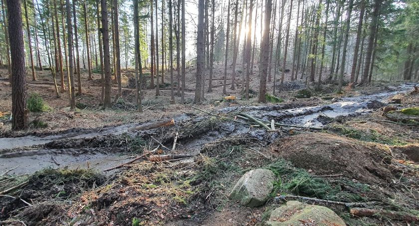 Kompletnie zrujnowane single tracki...
