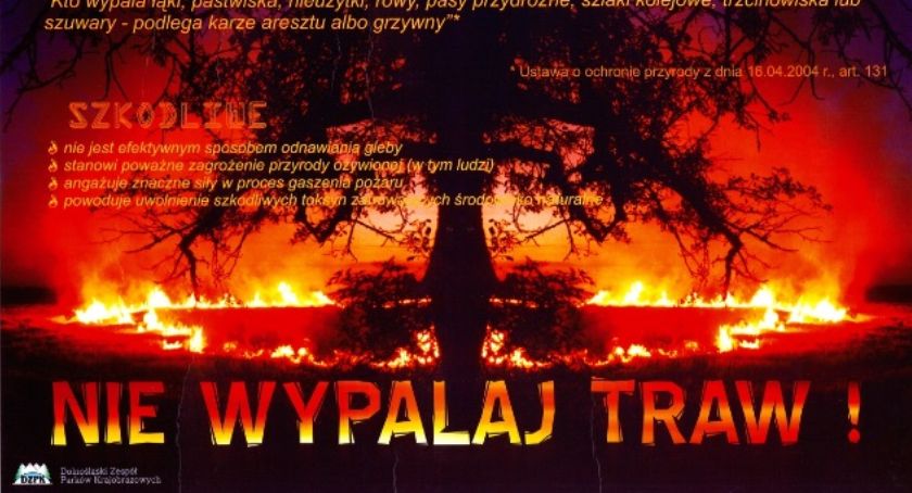 Nie wypalaj traw!