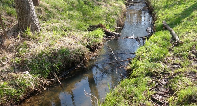 Omal nie utonął w wodzie po kolana. Uratowała go funkcjonariuszka straży granicznej