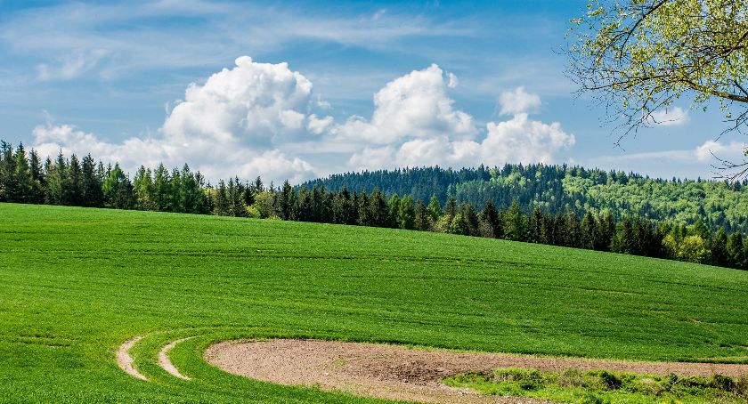 Samorząd województwa dolnośląskiego wspiera obszary wiejskie