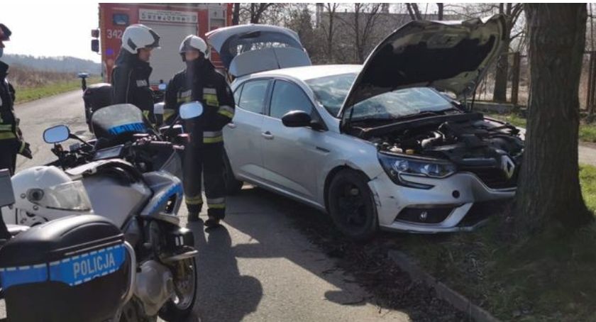 Renault uderzył w drzewo. 26-letni kierowca był pijany...