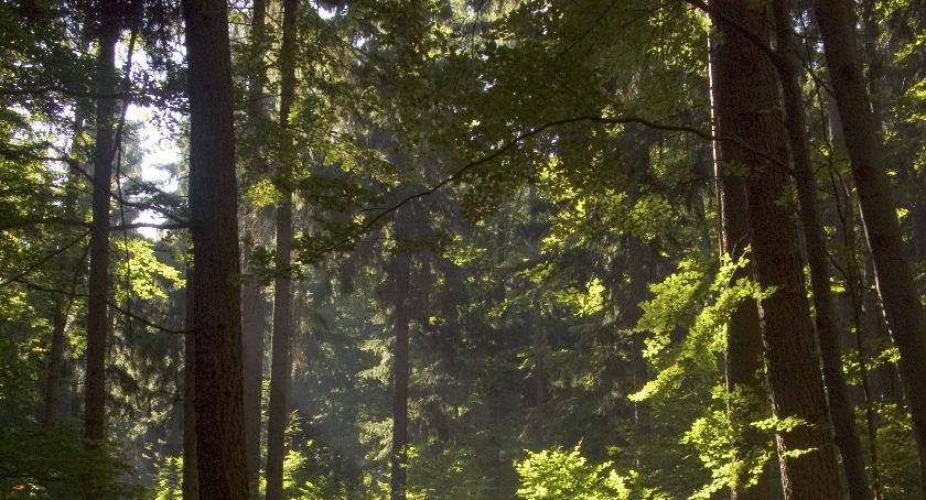 Karkonoski Park Narodowy z ofertą na majówkę