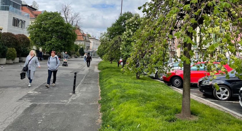 Bardzo zielone miasto