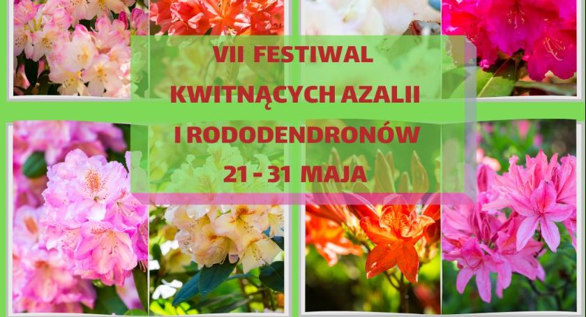 W Małej Japonii trwa wyjątkowy festiwal