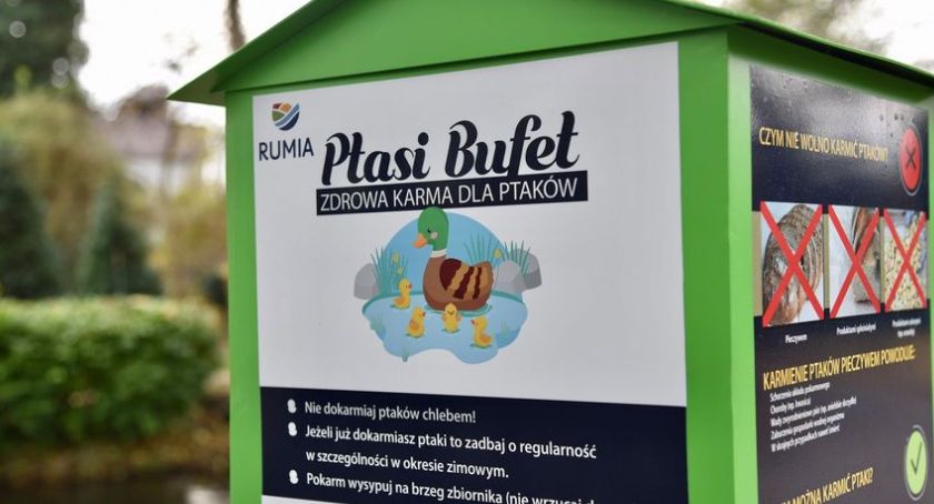 W Jeleniej Górze pojawią się Ptasie Bufety