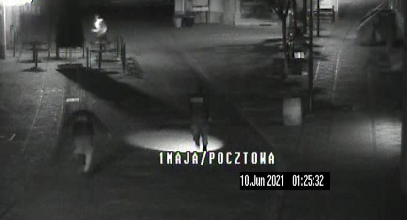 Pościg za włamywaczem